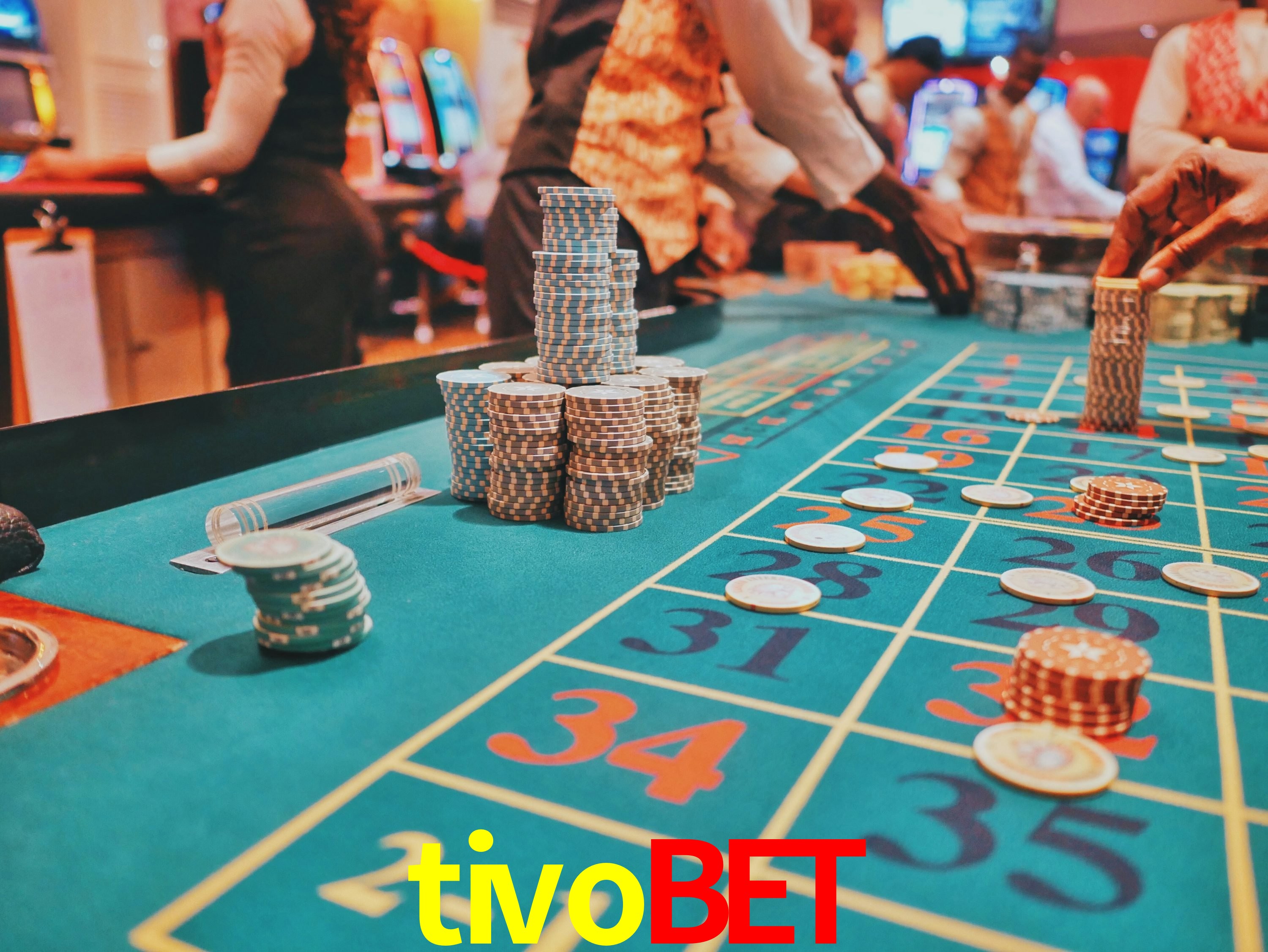 Interface Premium tivobet